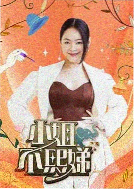 夜巷徘徊 日本综艺中文字幕海报